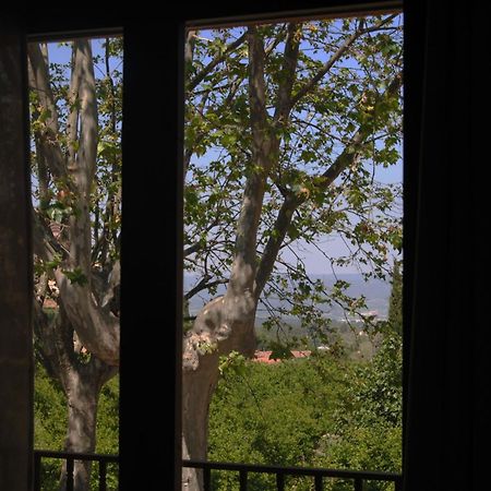 Hostal Braseria Tivissa Ngoại thất bức ảnh